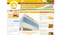 Portada web COES